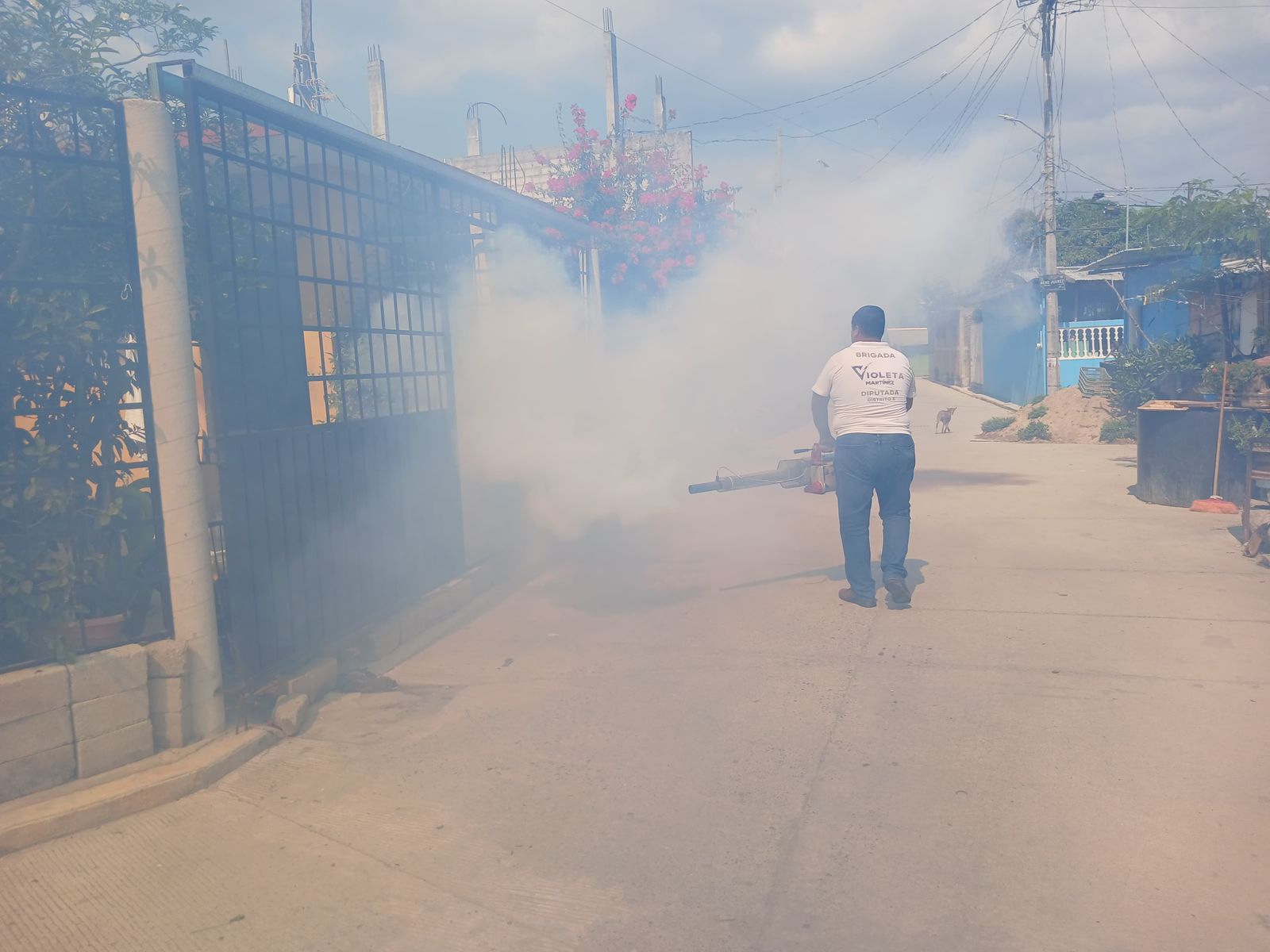 Realiza Violeta Martínez jornada de fumigación en colonias del Distrito 6
